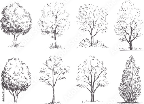 Hand Drawn Black And White Botanical Tree Collection