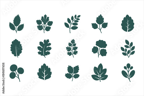Collection of various green leaves on white background