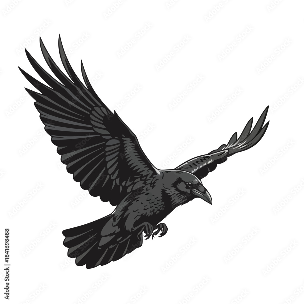 Obraz premium Mysterious Black Raven Bird in Flight - Detailed Vector Illustration for Design