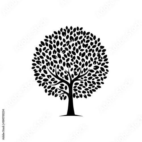 Tranquil Tree Silhouette: A serene silhouette of a majestic tree stands tall, its branches reaching skyward, evoking a sense of calm.