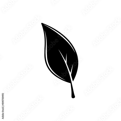 Leaf's Silhouette: A close-up shot captures the simple elegance of a solitary leaf, rendered in a bold, dark silhouette, inviting the eye to appreciate the intricate details of nature's design.