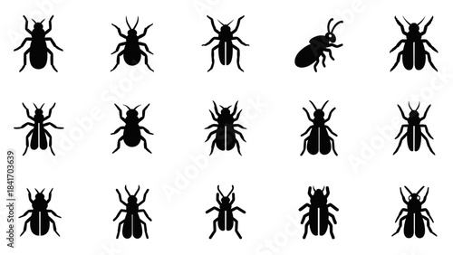 Set of various beetle silhouettes isolated on white background for design