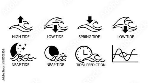 Tidal wave cycle diagram high and low tides spring tides and predictions
