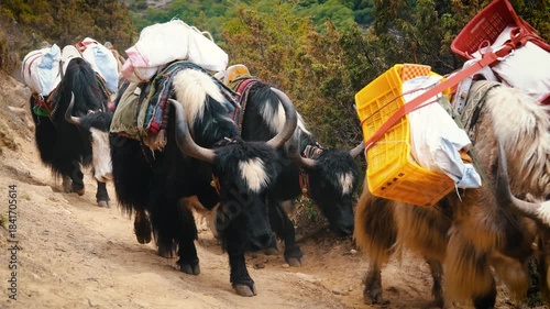 Cinematic Camera Footage of the Nepal Himalaya – Pure Nature, Peaks, and Mountain Atmosphere