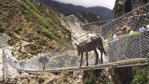 Cinematic Camera Footage of the Nepal Himalaya – Pure Nature, Peaks, and Mountain Atmosphere