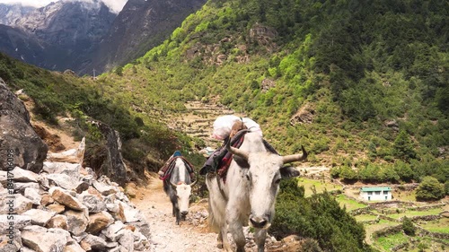 Cinematic Camera Footage of Lukla – Culture, Mountain Life, and the World’s Most Dangerous Airport