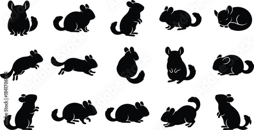 a collection of various black silhouette depictions of adorable chinchillas in different poses showcasing their furry forms and playful movements high quality professional detailed