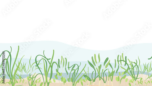 Horizontal seamless border of seaweed lively ocean environment. Background underwater vector illustration