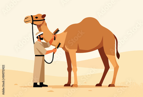 Man in desert attire grooming a camel with brushes