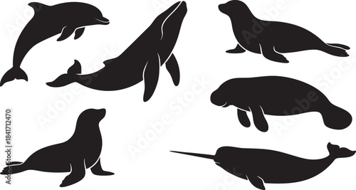 Collection of black silhouette marine animals including whale dolphin seal manatee narwhal vector
