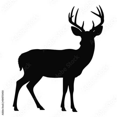 Silhouette of a majestic deer with large antlers a striking wildlife image