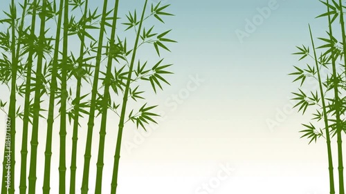 淡緑竹林 シルエットが映える空グラデーション