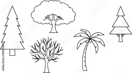 Tropical Art & Illustration