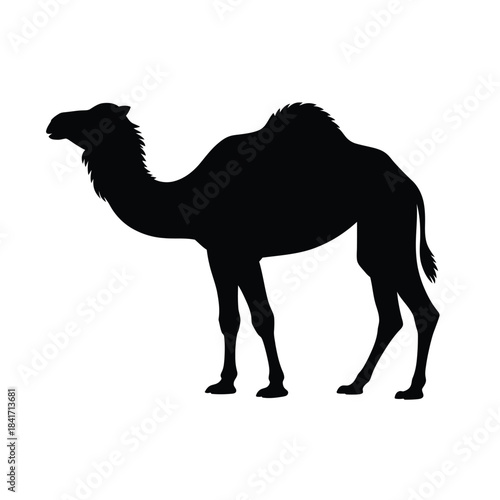 Silhouette of a dromedary camel standing in a simple minimalist style