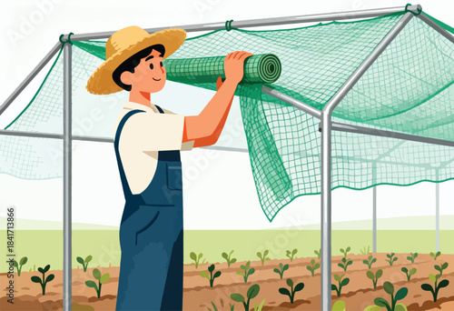 Farmer unfurling protective netting over young plants in a greenhouse