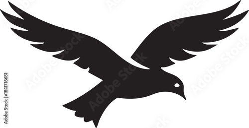 Silhouette of a bird in flight, wings spread wide