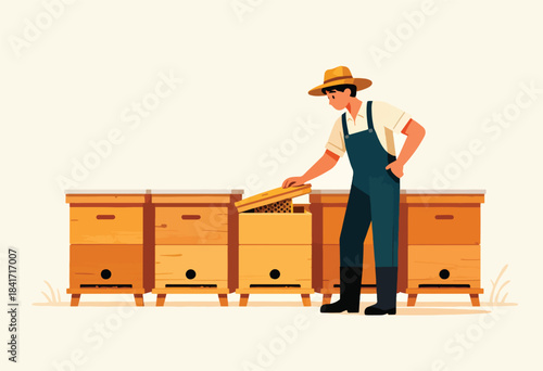 Beekeeper checks hive boxes containing honeycomb and bees