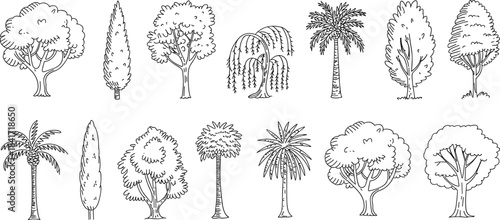 Hand drawn tree collection, black and white botanical illustrations, line art forest elements, diverse tree species sketches, nature doodle set, outline artwork
