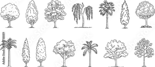 Hand drawn tree collection, black and white botanical illustrations, line art forest elements, diverse tree species sketches, nature doodle set, outline artwork