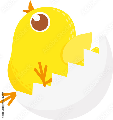 Yellow baby chick hatching from broken eggshell