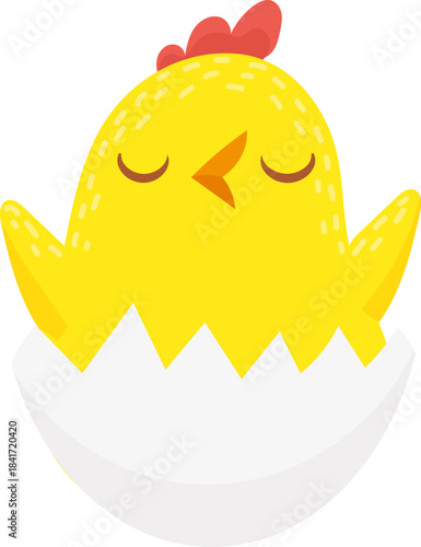 Little chick hatching from eggshell sleeping peacefully