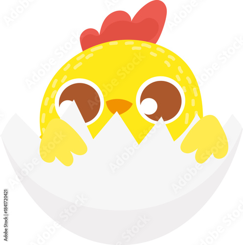 Little yellow chick hatching from broken eggshell
