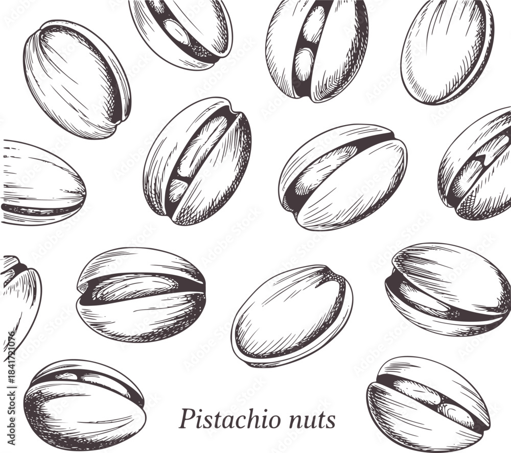Fototapeta premium Hand drawn black and white pistachio nuts detailed