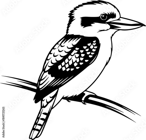 kookaburra silhouette line art vector illustration with a white background
