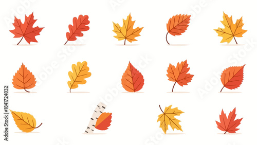 Collection of Autumn Leaves in Various Shapes and Colors.