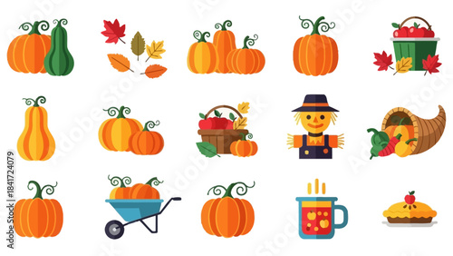 Autumn Harvest Collection of Pumpkins and Gourds.