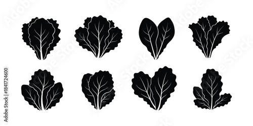 Collection of Various Leafy Green Vegetable Silhouettes on White Background
