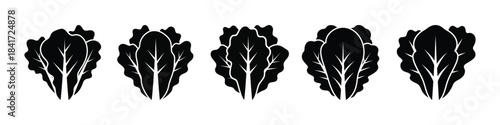 Set of Fresh Leafy Green Vegetable Silhouettes for Healthy Eating Designs