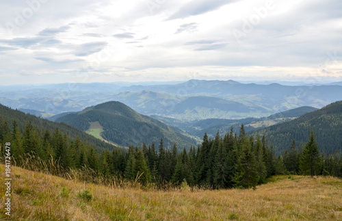 Vast mountain valley with pine forests, rolling hills, and distant towns beneath soft, cloudy sky. A serene outdoor scene ideal for nature, travel, and lifestyle visuals. Carpathian Mountains, Ukraine
