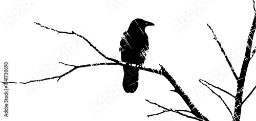 Black bird sitting on a bare tree branch