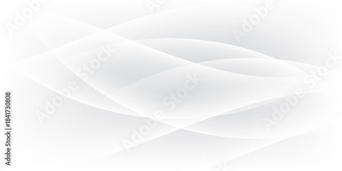 Curtain white wave soft shadow and blurred. frabic shapes curve designs. abstract backround on isolated. Vector Modern