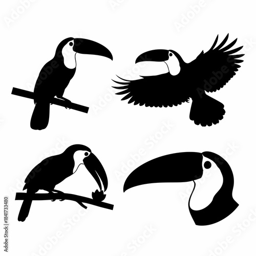 Four black toucan bird silhouettes in various poses including perching and flying, isolated on a white background, representing tropical wildlife.