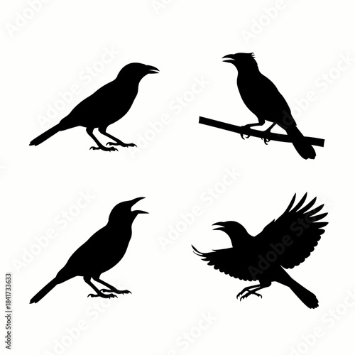 Black crow and raven bird silhouettes in various poses, including flying and perched, against a white background.