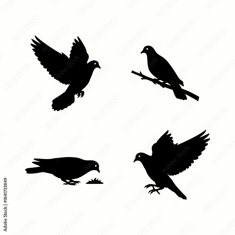 Fototapeta premium Black silhouettes of doves and pigeons in various poses, including flying, perching on a branch, and feeding on the ground, isolated on white.