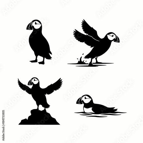 Black puffin bird silhouettes set in various poses: standing, flying, on a rock, and swimming, isolated on white.