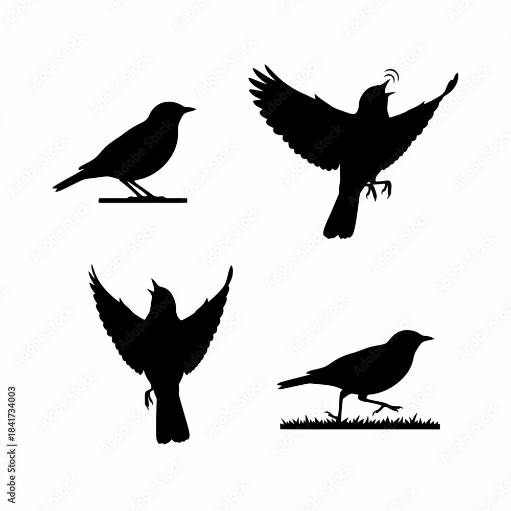 Obraz premium Black bird silhouettes vector set featuring birds in flight, standing, and walking poses, perfect for nature and wildlife themed graphic design elements.