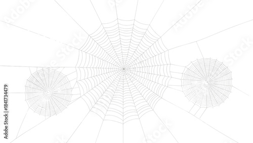 Abstract monochrome illustration of an automobile silhouette creatively formed from intricate spiderwebs on a clean white background.