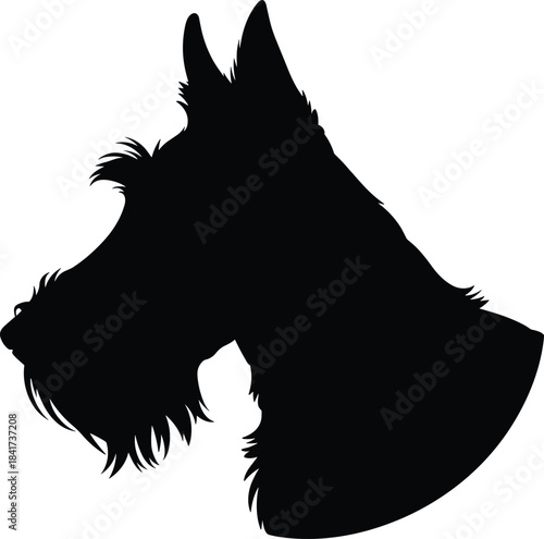 Silhouette of Scottish Terrier dog head in profile, black illustration highlighting breed features and textured fur