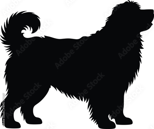Silhouette of shaggy dog standing in profile, black illustration highlighting furry texture and canine posture