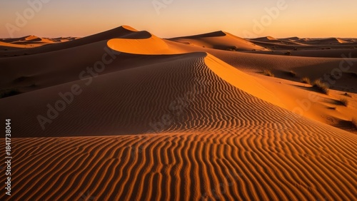 Fototapeta Naklejka Na Ścianę i Meble -  Golden desert dunes bathed in warm sunset light, creating dramatic shadows and serene beauty.