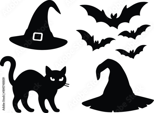 black cat and bats