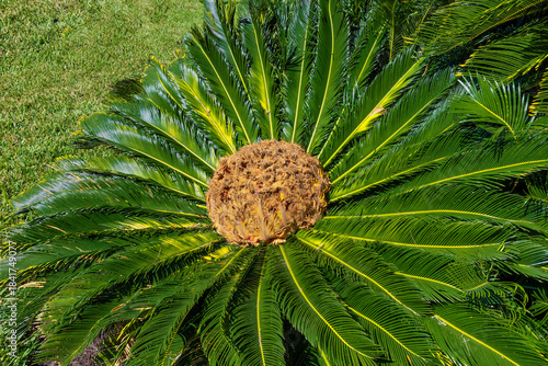 Jekyll Island along the Atlantic Coast of Georgia, United States