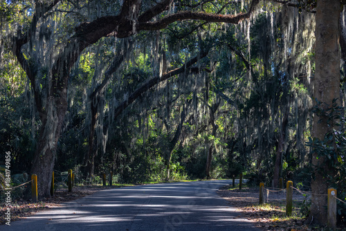 Jekyll Island along the Atlantic Coast of Georgia, United States