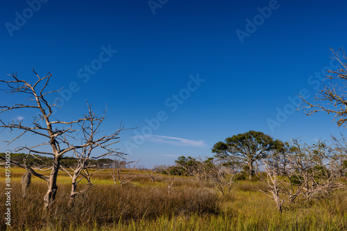 Jekyll Island along the Atlantic Coast of Georgia, United States