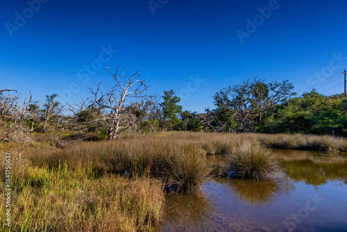 Jekyll Island along the Atlantic Coast of Georgia, United States