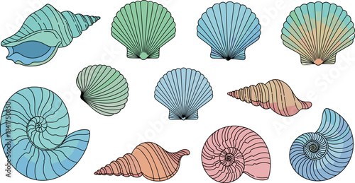 Vibrant Colorful Seashells Line Art Collection: Tropical Ocean Shells Set